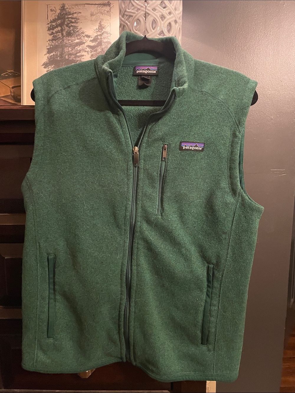 Patagonia Forest Green Fleece Vest